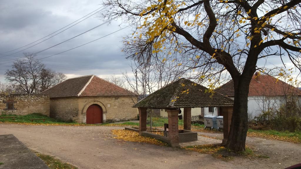 Country house Dunjin