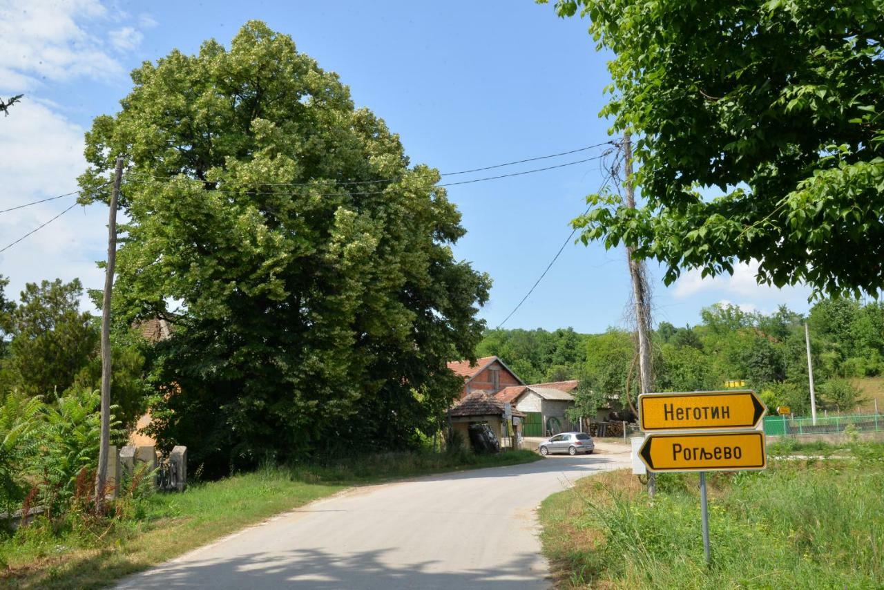 Dunjin * Rogljevo