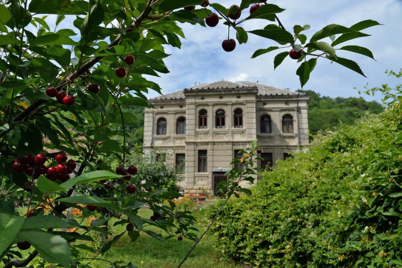Country house Dunjin *